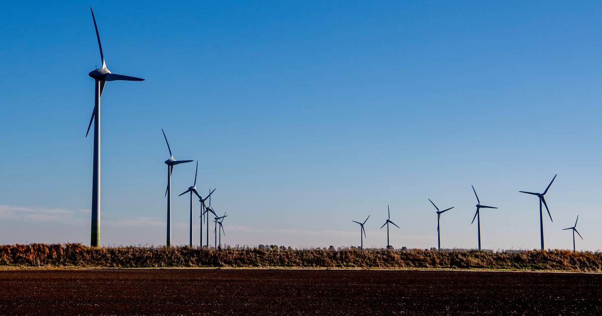 Hardenberg wil windmolens in bosrijk Diffelerveld