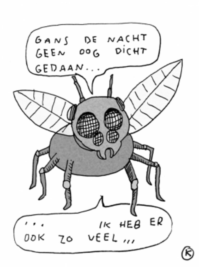 null Beeld 