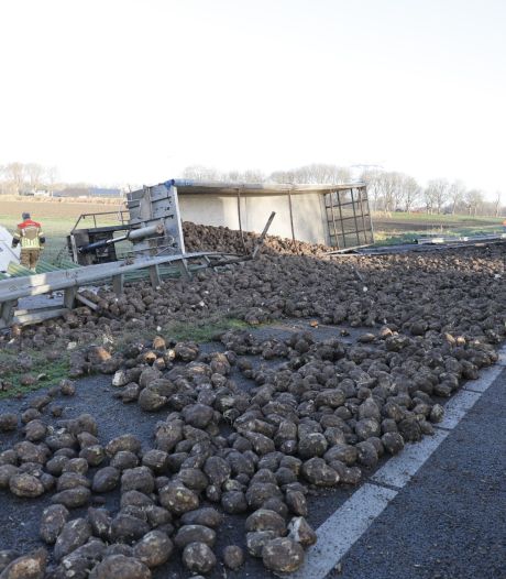 Vrachtwagen met lading suikerbieten gekanteld op A17, snelweg bij Zevenbergen weer vrij