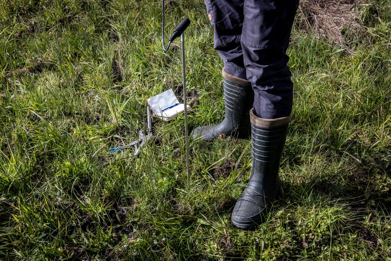 ‘We zullen er eindelijk aan moeten wennen dat we niet tot in het water kunnen gaan boeren, wonen en wegen aanleggen. Er moet ruimte zijn voor water.’ Beeld Franky Verdickt