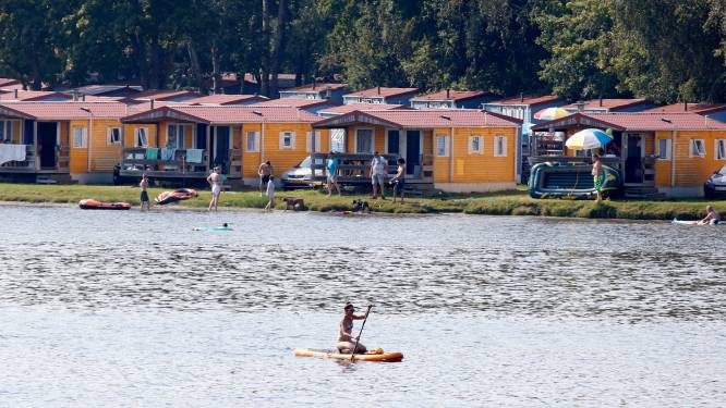 Hardleerse Oostappen Groep van Peter Gillis moet gemeente twee ton betalen wegens arbeidsmigranten op vakantiepark