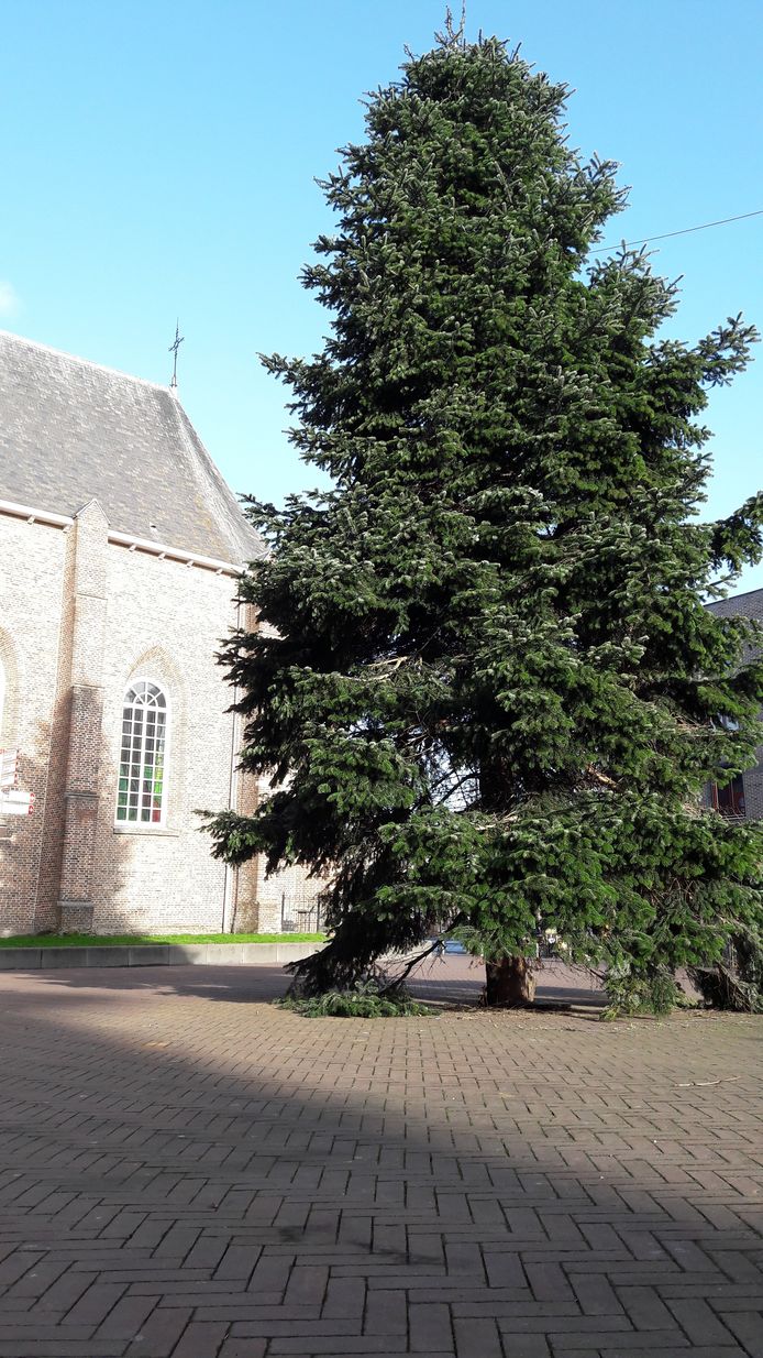 Lichtjes kerstboom EttenLeur vernield EttenLeur bndestem.nl