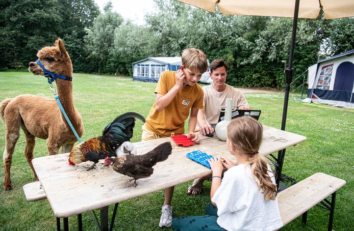 Paul en Jasmijn brengen met hun twee kinderen, kat, hond en vier kippen de snikhete zomerdagen door op minicamping Wilgenweide in Molenschot.