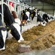 Landbouwbeleid is helaas te veel gericht op het behoud van de status-quo