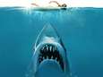 <br>“Dit was géén gewone haai”: het waargebeurde verhaal achter ‘Jaws’, een huiveringwekkend bloedbad <br>