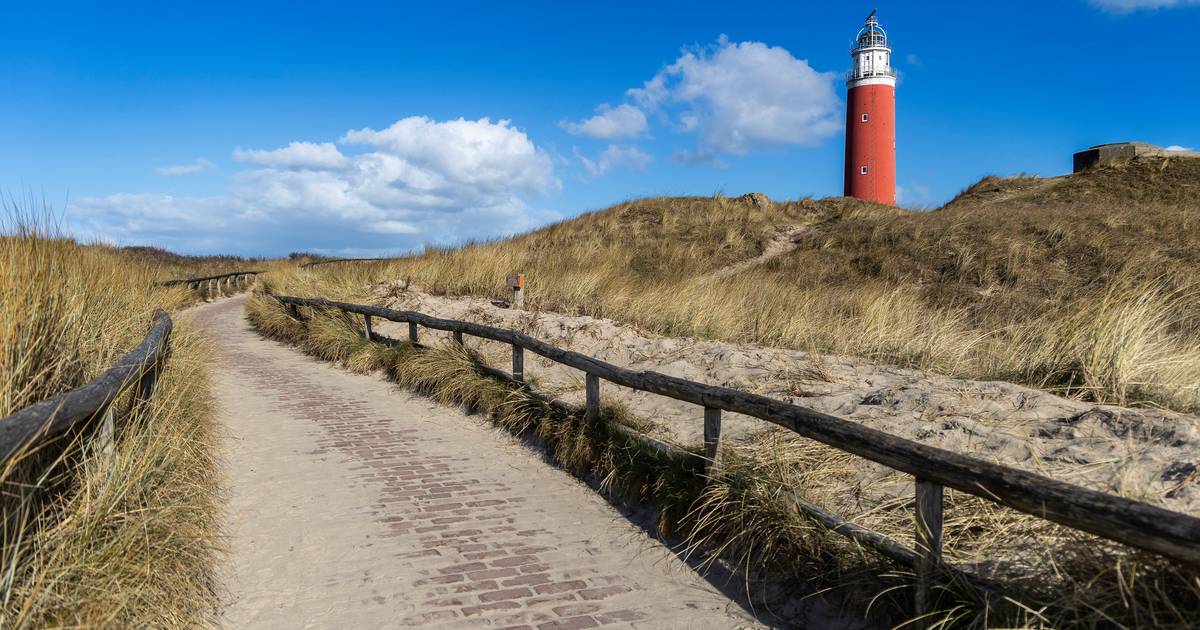 Vermisste deutsche Frau „bei guter Gesundheit“ in Texel gefunden |  Inländisch