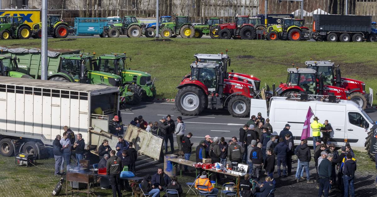 Vlaamse boeren blokkeren doorgaande weg Gent richting Terneuzen ...