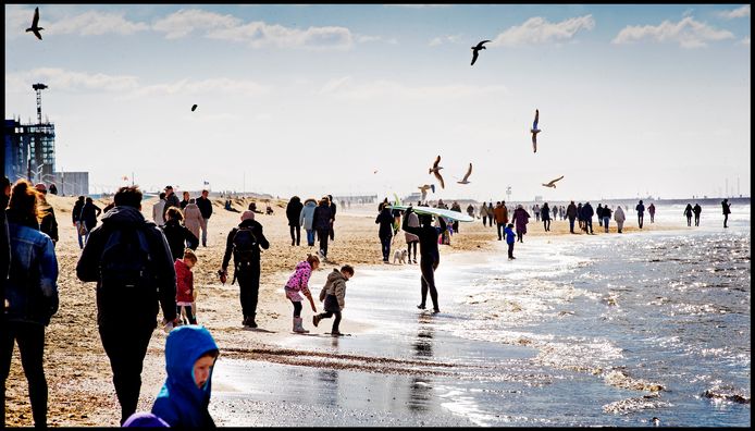 Strand van Scheveningen