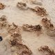Oud massagraf van 140 kinderen opgegraven in Peru