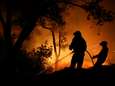 In 2016 brandde liefst 297.000 vierkante kilometer bos af (en 2017 wordt allicht nog erger)