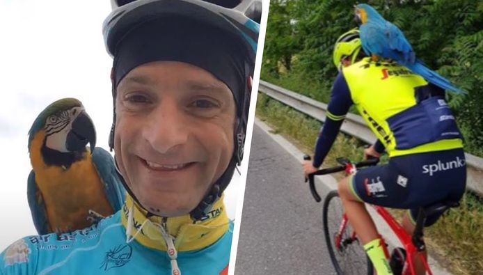 Franky De Trouwe Metgezel Van Michele Scarponi Heeft Een Nieuw Maatje Offside Ad Nl