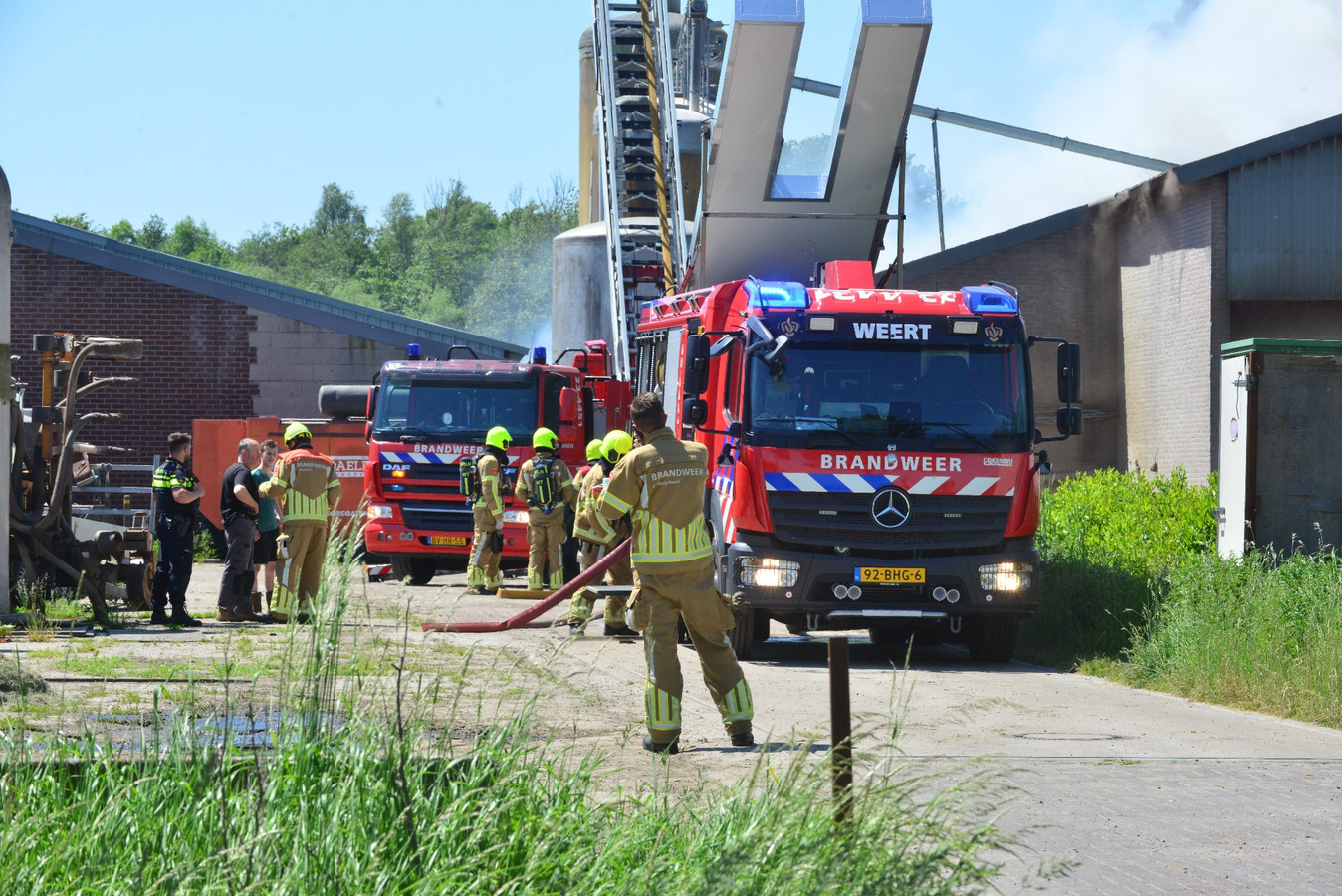 Duizenden Varkens Dood Bij Zeer Grote Stalbrand Nederweert Het Nablussen Is Begonnen Foto Ad Nl