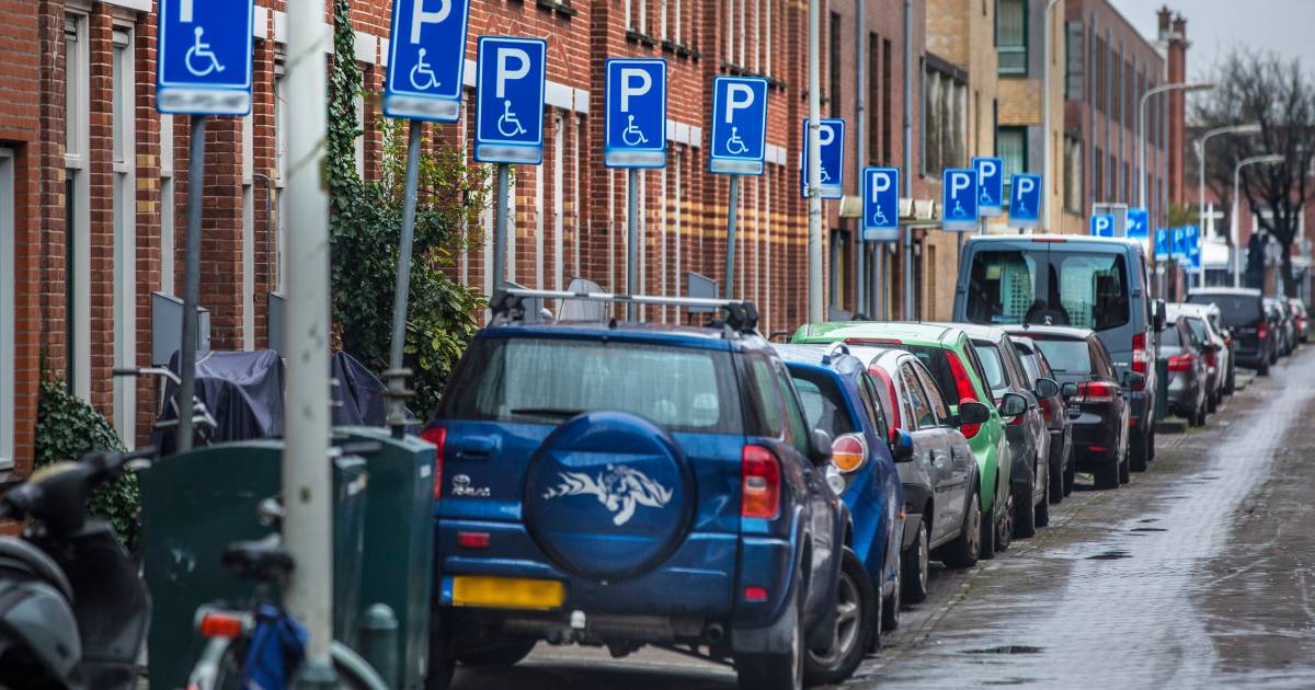 Transvaal en Schilderswijk overspoeld door invalidenparkeerplaatsen: ‘Gewoon asociaal, die mensen ku