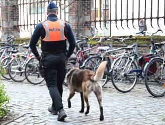 Weerspannige man blijkt heel wat drugs op zak te hebben nadat drugshond hem aanwijst