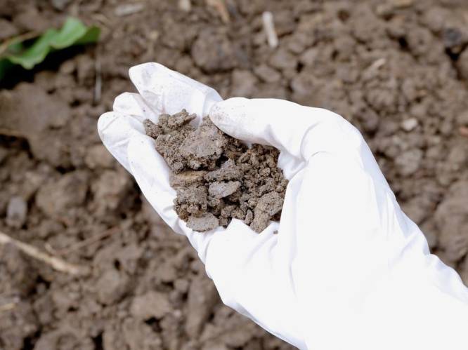 Vlaamse overheid informeerde te laat over PFOS-vervuiling in Zwijndrecht: rechter legt morele schadevergoeding van 1 euro op
