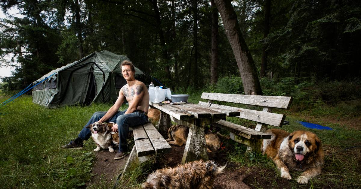 Barre winter dreigt voor rondzwervende Victor en zijn 9 honden: ‘Het blijft een heel lastig verhaal’