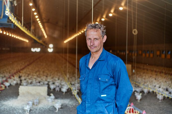 Jos Hanegraaf, kippenboer uit Loosbroek: ,,Take it or leave it wordt het. Daar gaat onze onderhandelingsruimte.”