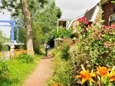 De Potterskaderoute bij Harmelen: een belevenis door de polderjungle