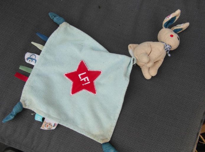 Deze knuffel werd gevonden in Twello.