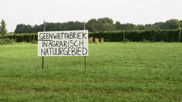 Legale wiet