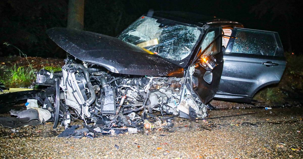 Grote ravage: Auto in puin na botsing tegen boom in buitengebied Apeldoorn.