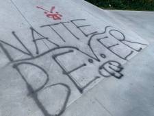 Spiksplinternieuw en nu al beklad: graffiti op skatepark Zaltbommel 