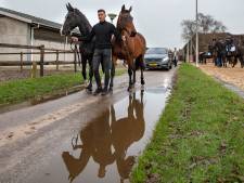 Paarden vormen erehaag voor overleden fokker Gerrit (61) uit Lettele: ‘Hij had dit prachtig gevonden’