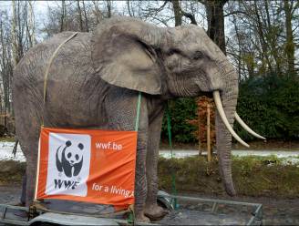 Gulle schenker laat ruim 10 miljoen euro na aan WWF