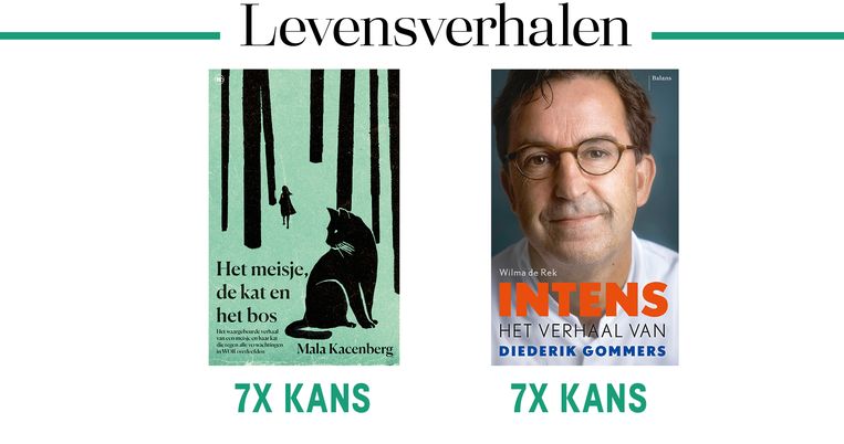 null Beeld 
