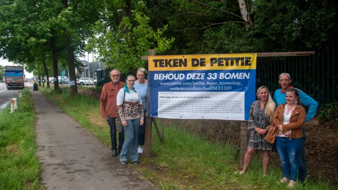 Vlaams Belang start petitie tegen kappen eiken Zuidlaan na politieke rel met lokaal bestuur