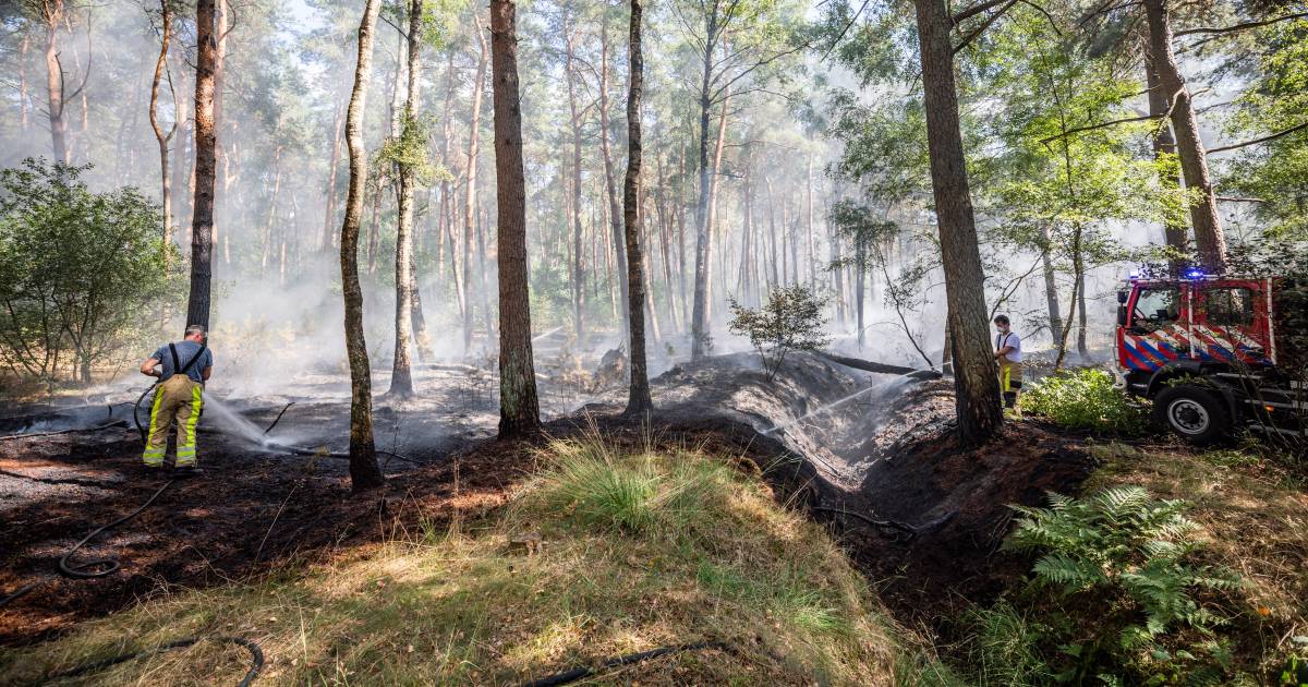 Gemist? Bosbrand in Dalfsen en verbazing over toewijzing ...