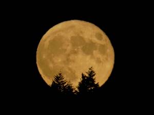 Un phénomène lunaire va provoquer des inondations record sur Terre