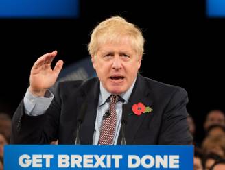 “Duidelijk dat de premier zijn brexitvoorstel niet begrijpt”: kritiek na uitspraak van Boris Johnson over Noord-Ierse grens