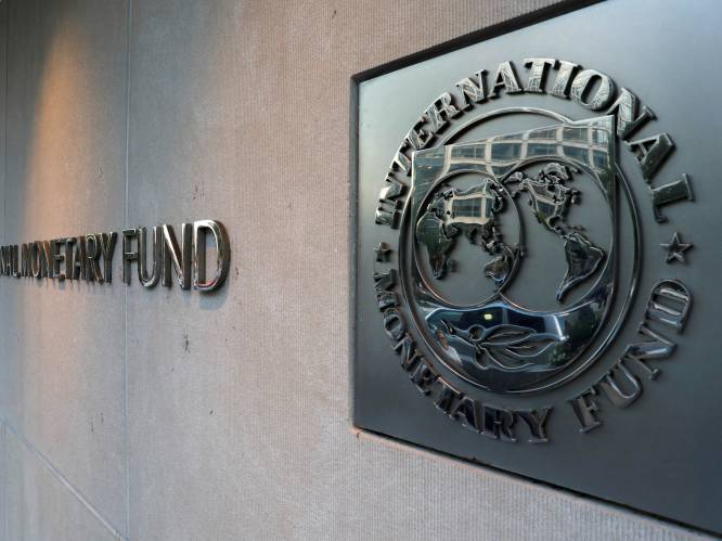 EU gaat op zoek naar nieuwe directeur-generaal IMF