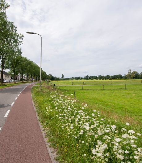 Er mag gebouwd worden aan de Molenweg in Heino: Raad van State wijst bezwaren voorlopig af 