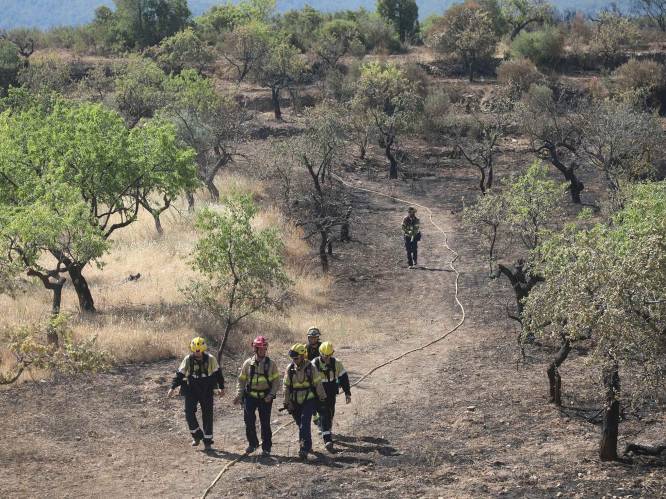 Bosbranden teisteren Spanje en Zuid-Frankrijk