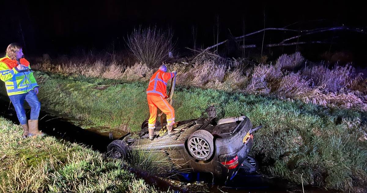 Hond overleeft crash in Slagharen, maar wordt vervolgens dodelijk aangereden.