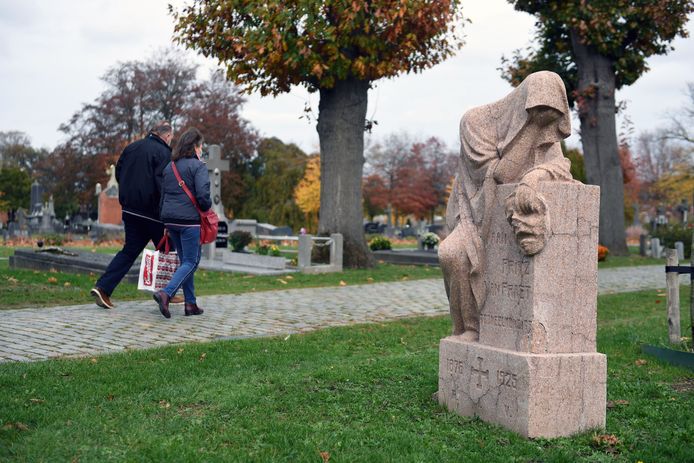 Op de Stadsbegraafplaats in Leuven wordt de komende jaren een experiment uitgevoerd met verschillende soorten planten en bomen.