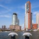 Een meerval, een krokodil of toch een monster: wat zwemt er in de Rotterdamse Rijnhaven?