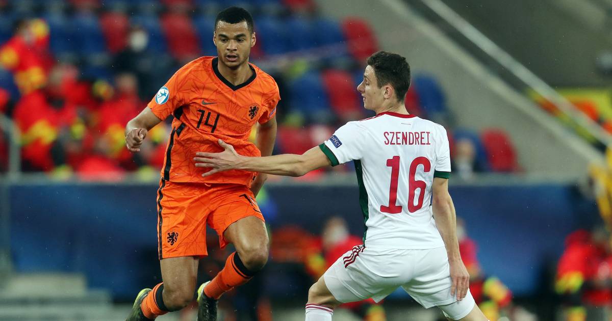 Gakpo droomt na glansrol van EK met 'groot' Oranje: 'Daar ...