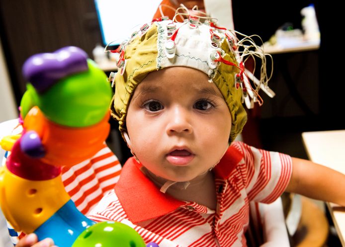 De Amersfoortse Ziya (8 maanden) moet voor het hersenonderzoek een mutsje met elektroden op.