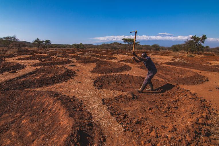 Een man graaft een ‘bund’ (halve maan) in Kenia. Deze kuilen vangen regenwater op en maken zo het land weer groen en vruchtbaar. Beeld justdiggit.org
