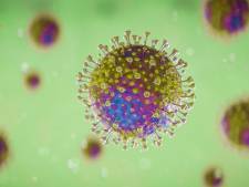 De Beekgraaf in Nistelrode dicht vanwege corona-besmettingen