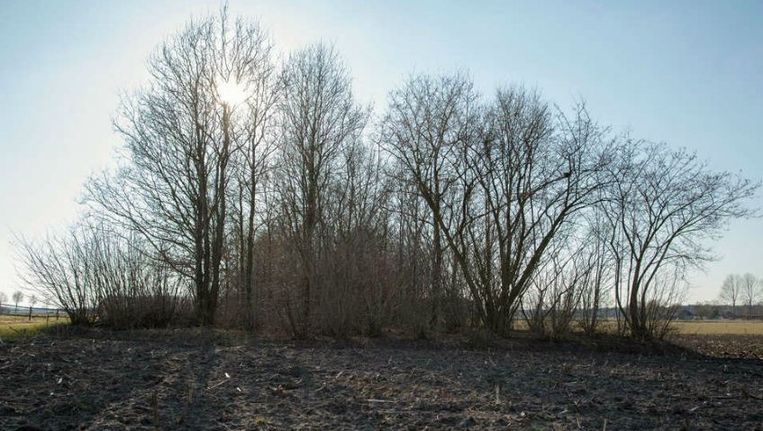 Binnenkort onder de hamer: kavel acht aan de dalvoordeweg in Daarle. Beeld Herman Engbers