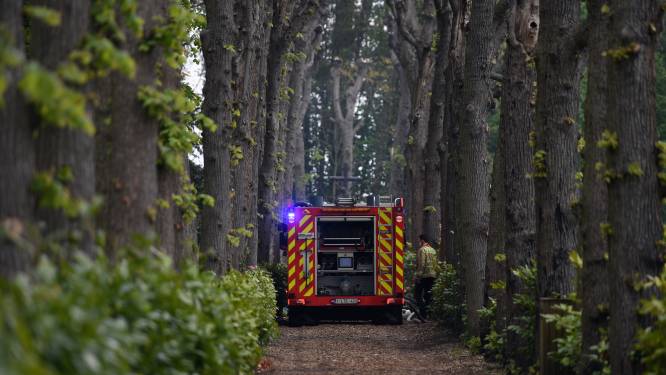 Werkstraf voor brandstichter kloostertuin, jongere vrijgesproken 