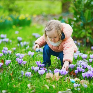 Free things to do this spring break: Best tips and outings with kids in Amsterdam