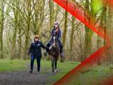 Ruiters vrezen paardenfile in Almere • Eeuwenoud geheim ontdekt in Kampen