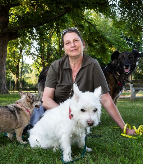 Susan redt vrijwillig dieren, 24 uur per dag: ‘Mensen weten me altijd te vinden als er iets aan de hand is’