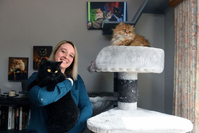 ‘Crazy cat lady’ Kat De Laet is al enkele jaren actief als huisdierenfotografe en maakte van haar eigen katten beroemdheden op Instagram.