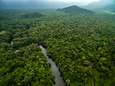 Drie Europese landen doneren 279 miljoen euro voor bescherming Colombiaans Amazonewoud 